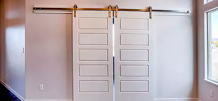 Glass Barn Door with Installation Hardware Kit Waterbury